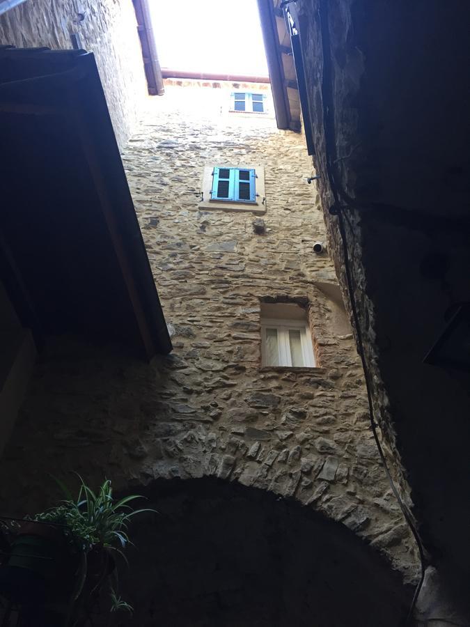 A Ca Du Barba Ge Bed & Breakfast Vallebona Dış mekan fotoğraf